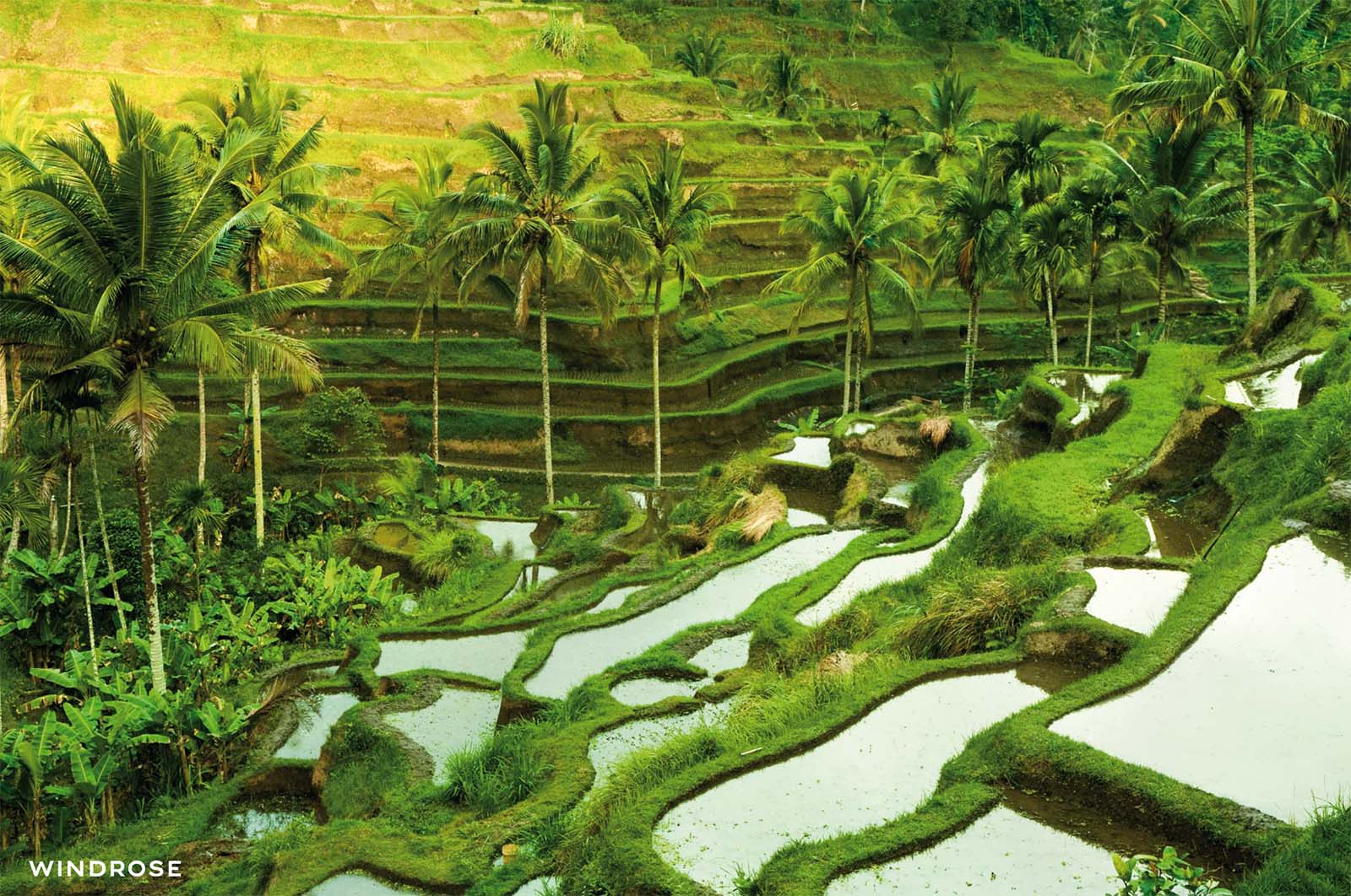Weltreise Sinfonie des Südens