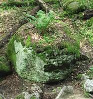 501de327-b227-4619-910b-e257d785888a_original