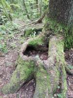 PHOTO-2025-12-12-11-17-03-5AC61420-765B-4541-AC0E-6B84F888C9BE_original